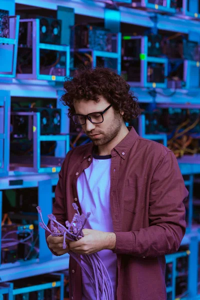 Handsome Computer Engineer Ethernet Wires Ethereum Mining Farm Stock Image