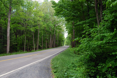 George Washington National Forest